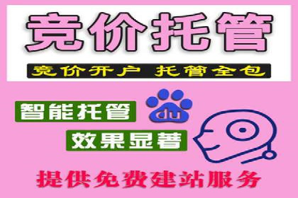 SEM代理助力企业：案例分享，优化策略全解析